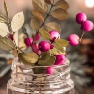 Meet your Posher, Krystal